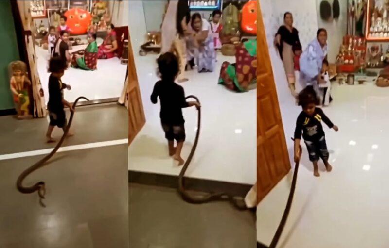 Keluarga terkejut gadis kecil bawa balik ular