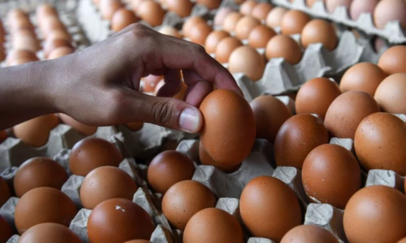 'Egg prank' ancam kesihatan anak - pakar