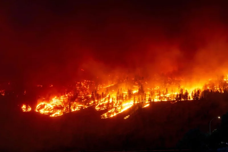 Darurat di British Columbia akibat kebakaran hutan dahsyat