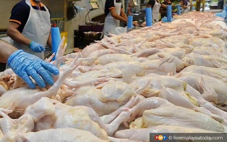 Ayamas denies migrant worker mistreatment at chicken processing plant