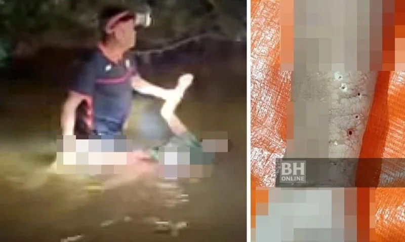 Wanita maut dipatuk ular ketika cari siput sungai