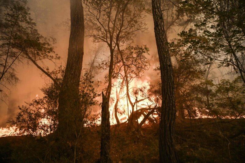 Kebakaran hutan di Texas, lebuh raya terpaksa ditutup