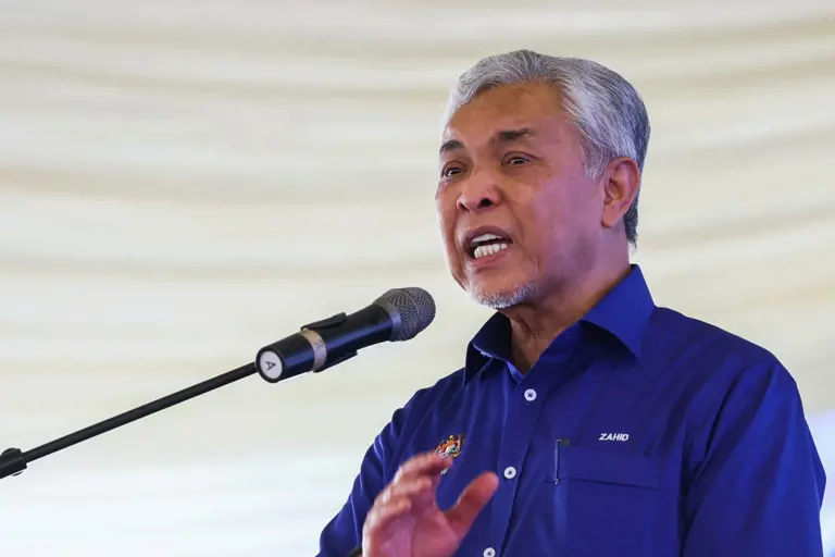 Green wave stopped in Pahang with BN victory, says Zahid