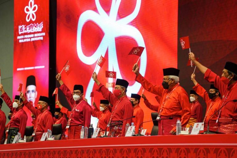 Bersatu not sidelined in PN