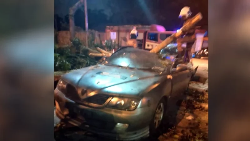 Enam kereta rosak akibat pokok tumbang