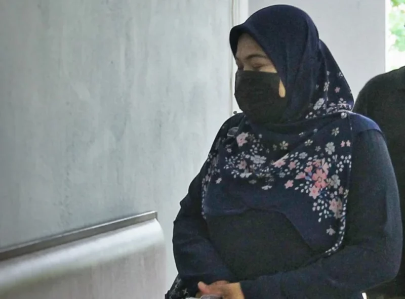 Wanita kena dakwa gagal kemuka penyata pendapatan LHDN