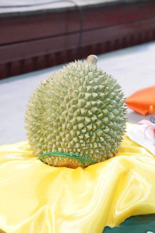 Durian Musang King Raub termahal di dunia