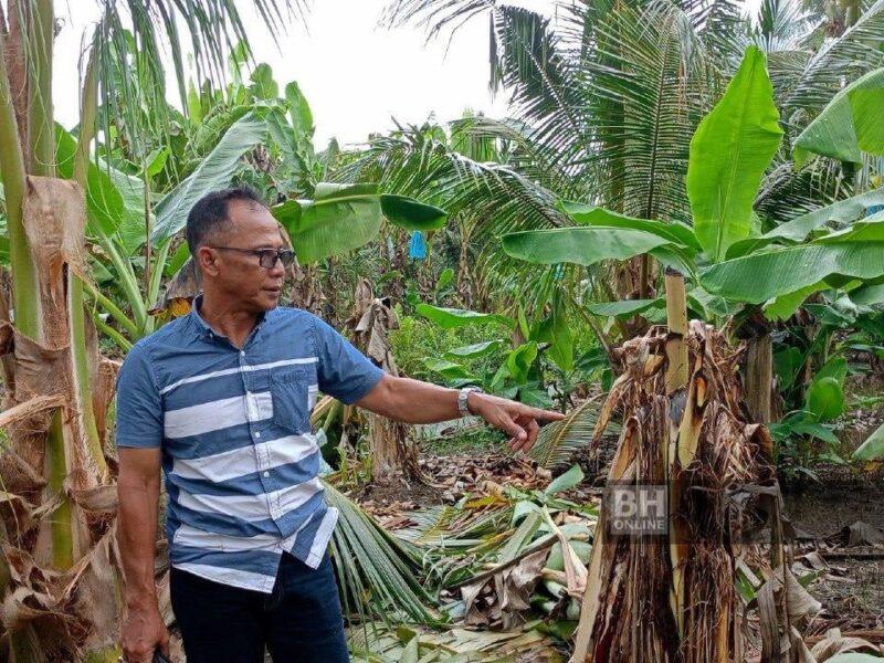 Cakaran 'misteri' gusarkan penduduk empat kampung