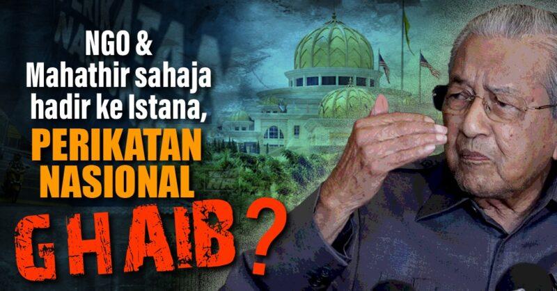 NGO & Mahathir sahaja hadir ke Istana, Perikatan Nasional ghaib?