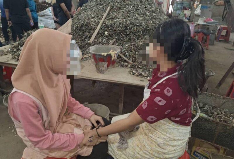 Remaja Myanmar jadi buruh paksa diselamatkan