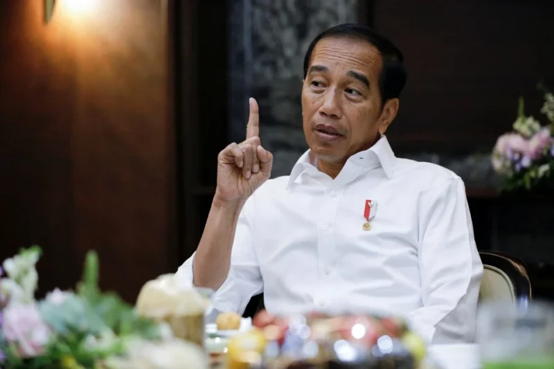 Jokowi jelaskan haknya berkempen untuk calon presiden