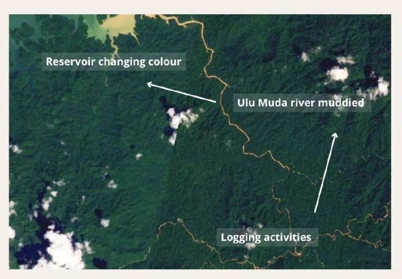 Tiada pembalakan Hutan Simpan Ulu Muda