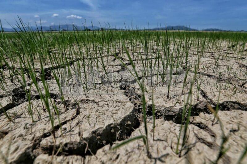 10 kawasan, majoriti di Kedah rekod suhu panas tahap berjaga-jaga