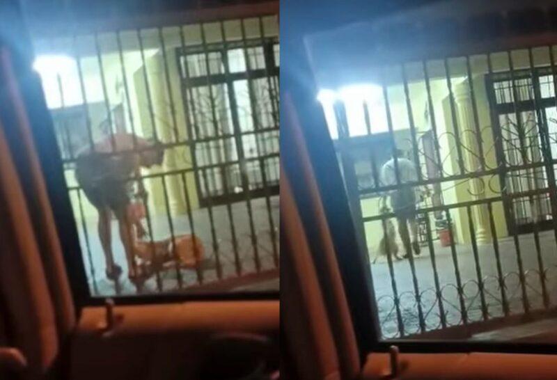 Polis siasat lelaki rotan anjing peliharaan