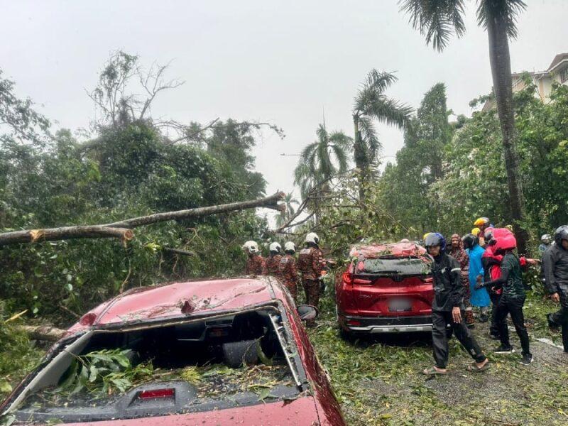 Fallen trees in KL damage 14 cars