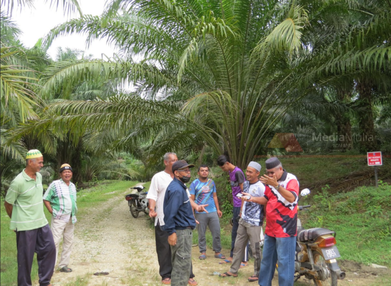 ‘Kebun dah musnah, harap kami dapat pampasan’