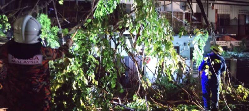 Pokok tumbang hempap rumah, tiang elektrik dan kenderaan