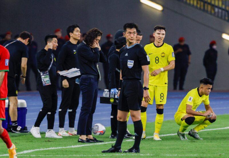 Harimau Malaya dipintas Indonesia