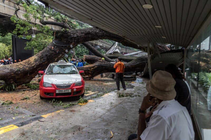 Tree falls on road, monorail track in KL city centre during storm