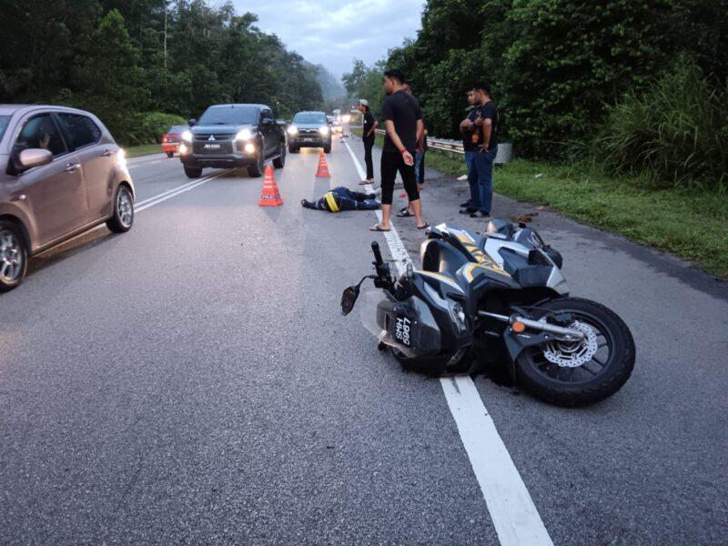 Penunggang motosikal maut langgar babi mati tengah jalan