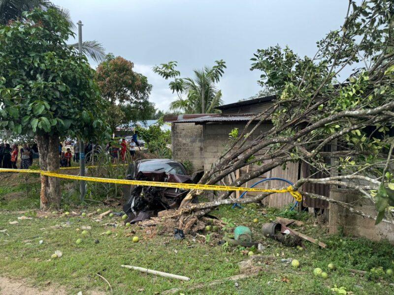 ‘Transporter’ bawa PATI maut, kereta terbabas rempuh pokok