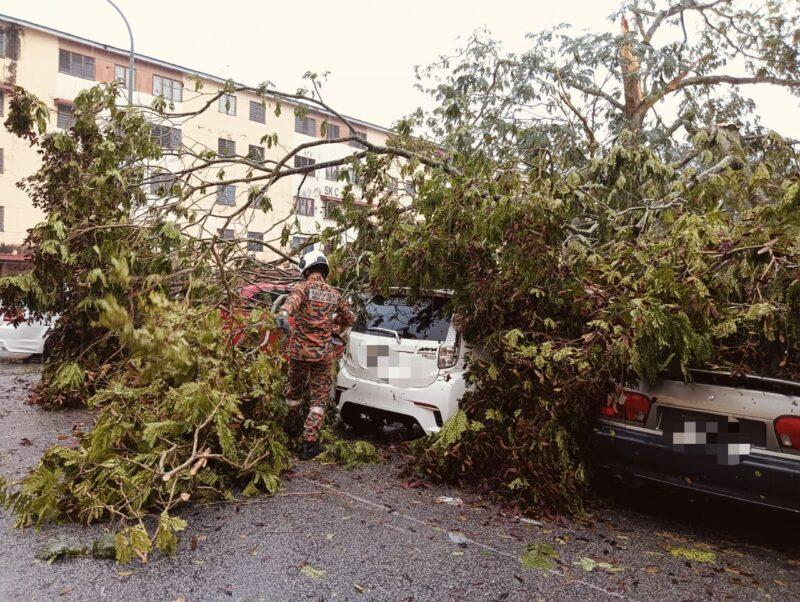 Tiga kereta dihempap pokok tumbang di Bukit Sentosa