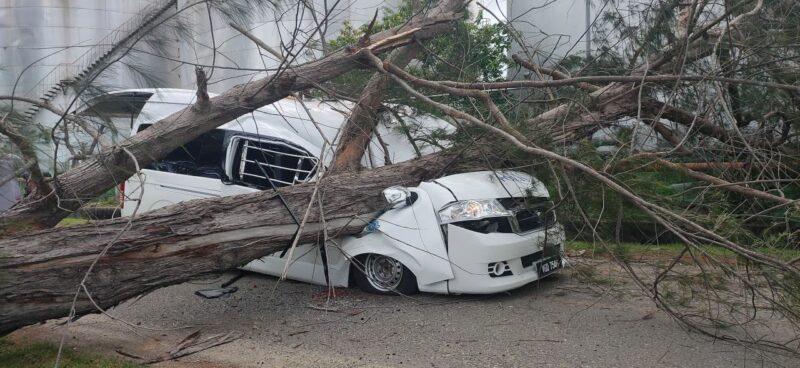 Anggota PGA maut dihempap pokok