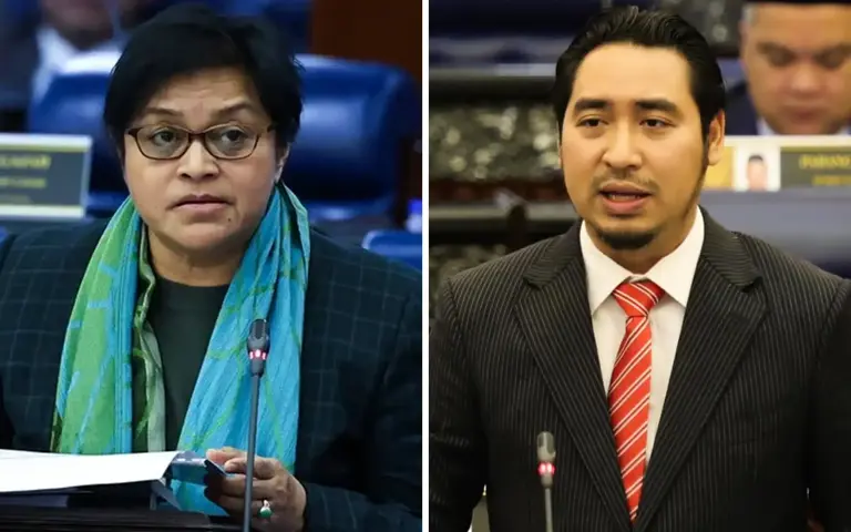 Immunity doesn’t mean MPs can utter whatever they like, says Azalina