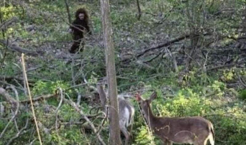 Wanita rakam gambar anak Bigfoot hendap rusa