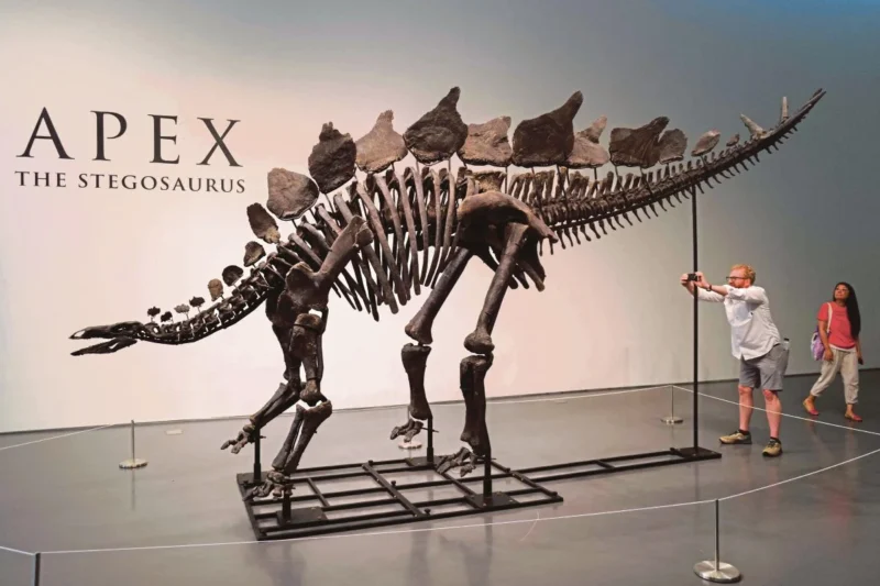 Rangka dinosaur 'Apex' pecah rekod, terjual RM208 juta