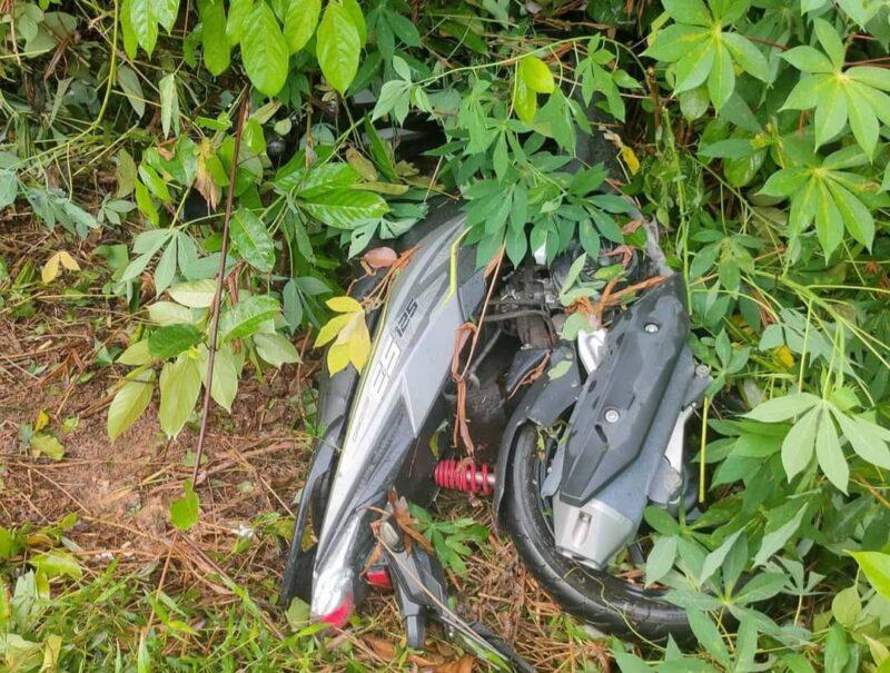 Pelajar mahu ke sekolah maut dihempap pokok