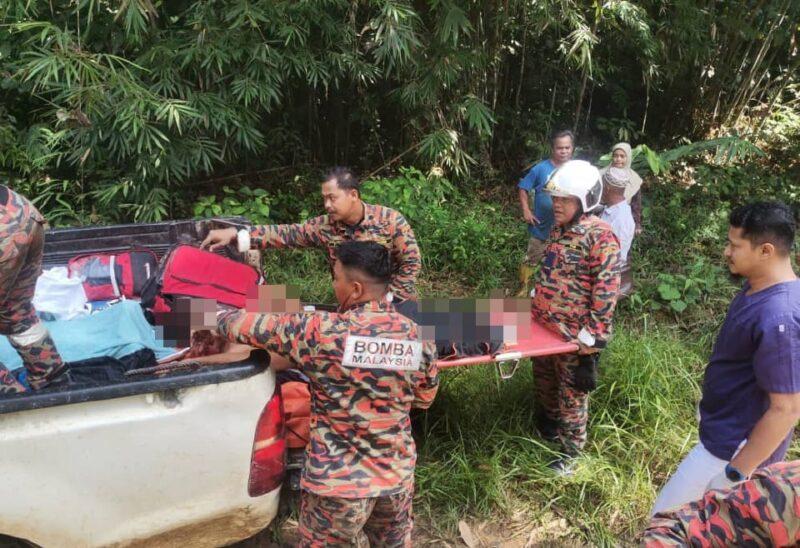 Pemancing maut, rakan parah dihempap pokok tumbang