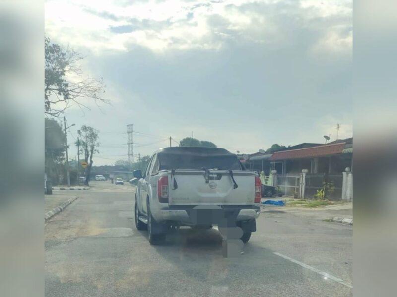 Pemilik pikap tak perasan kucing tergantung semasa dibawa ke klinik