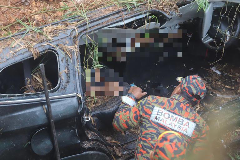 Father, daughter die as tree falls on car in Penang