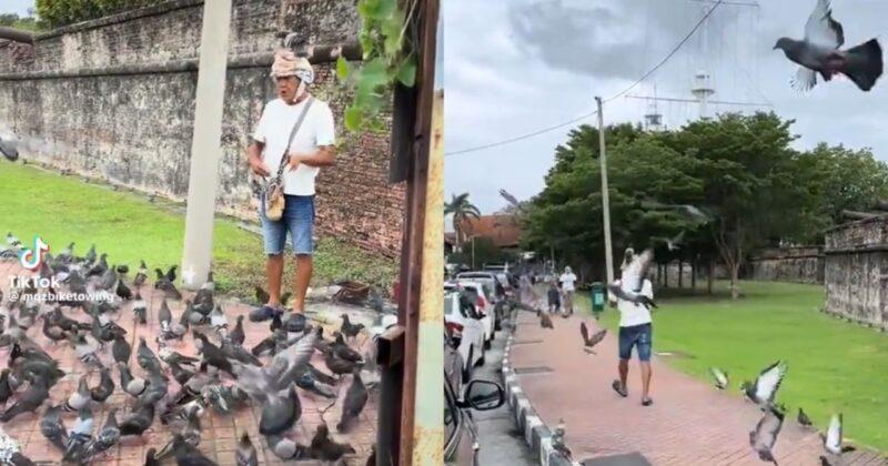 ‘Pigeon Whisperer’ Padang Kota Lama tarik perhatian netizen